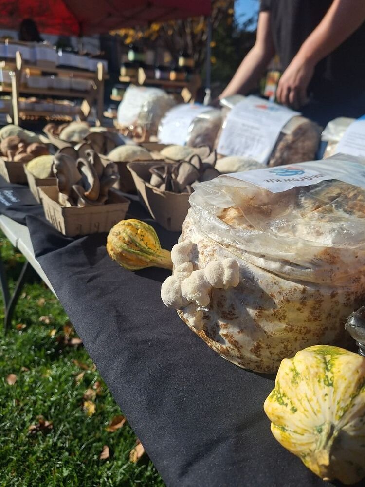 Farm Lane Farms mushroom stand at a Hudson Valley farmers market
